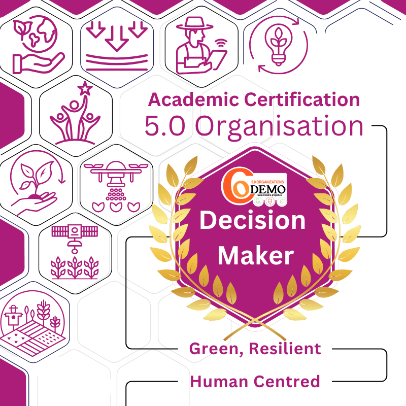 Badge Graphic for Decision-Maker Academic Certificate
