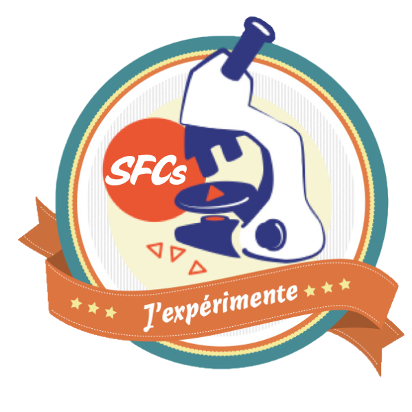 Badge Graphic for J'expérimente